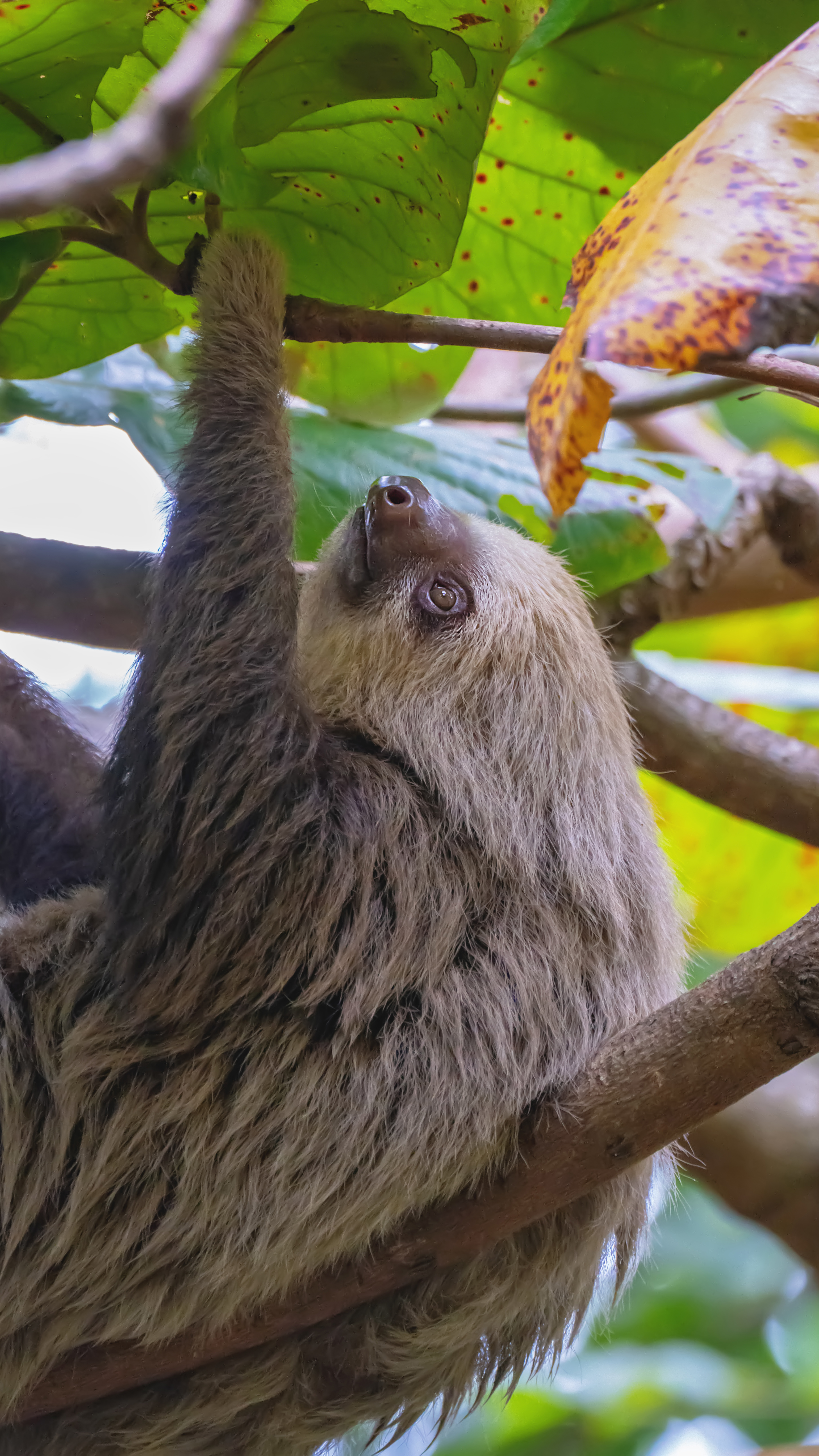 Wild Wonders: Around the World by Private Jet